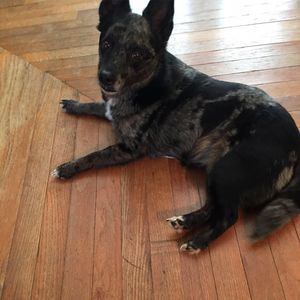 Meet your Posher, Carol